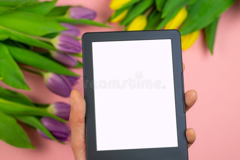 Tulipanes y tableta con la pantalla blanca de la maqueta en fondo rosado Tarjeta de felicitaci?n para Pascua o el d?a de las muje fotos de archivo Tulipanes y tableta con la pantalla blanca de la maqueta en fondo rosado Tarjeta de felicitaci?n para Pascua o el d?a de las muje fotos de archivo