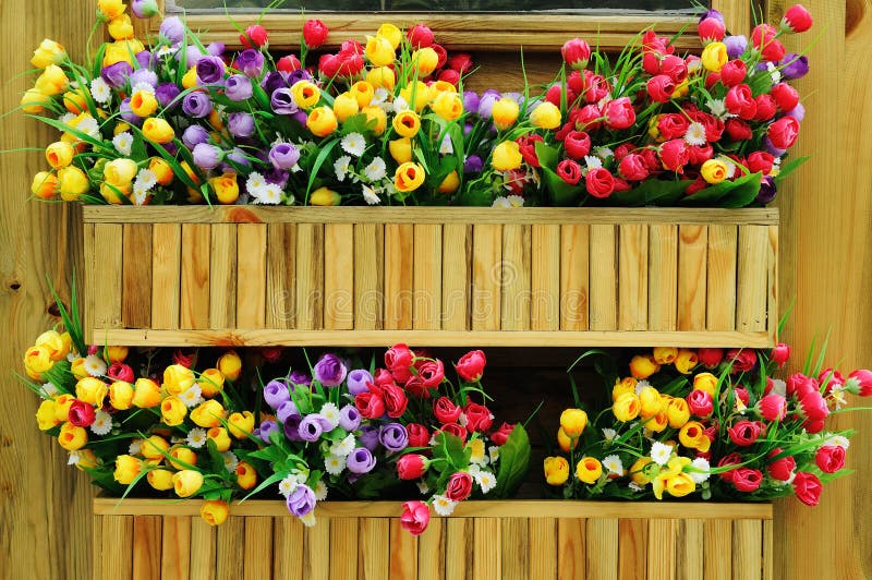Colorful tulips on the wooden wall. Colorful tulips on the wooden wall.