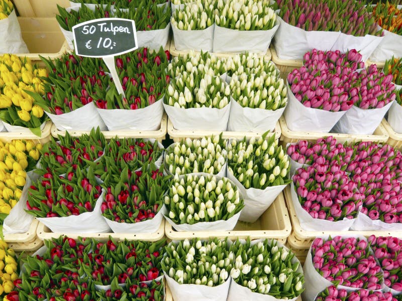 Сколько стоят тюльпаны на рынке. Тюльпаны на рынке. Тюльпаны на рынке в Турции. Витрина с тюльпанами на рынке. Тюльпаны на рынке в Алании.