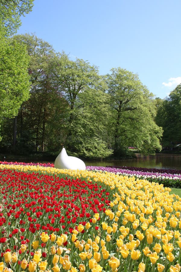 Tulipani gialli rossi, alberi, lago, giardini di Keukenhof fotografia stock Tulipani gialli rossi, alberi, lago, giardini di Keukenhof fotografia stock
