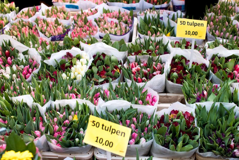 Tulipany w holendera rynku z odsłoniętymi cenami z różnym i