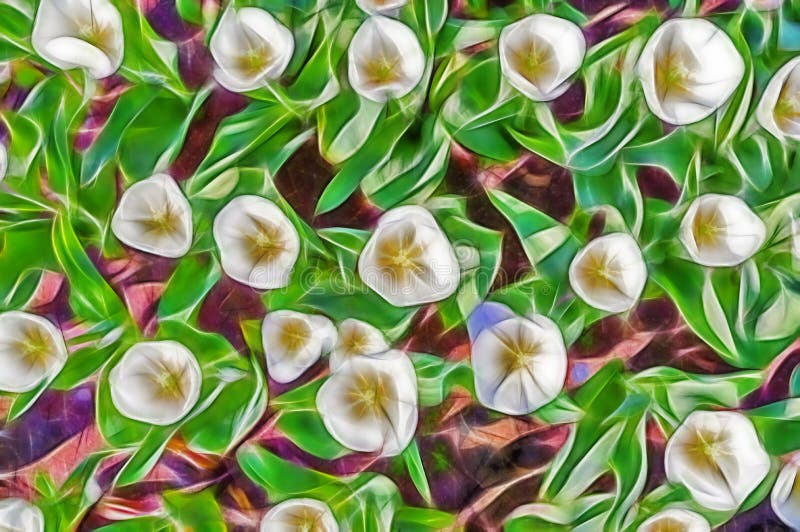 Tulipas abstratas bonitas da flor do fractal imagem de stock Tulipas abstratas bonitas da flor do fractal imagem de stock
