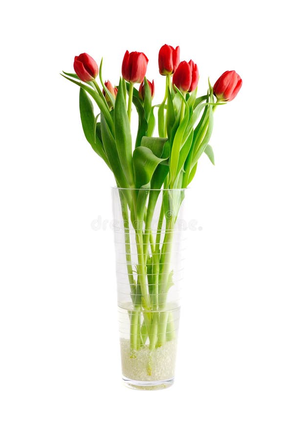 Tulipas Vermelhas Em Um Vaso De Vidro Imagem de Stock - Imagem de buquê,  floral: 40412181