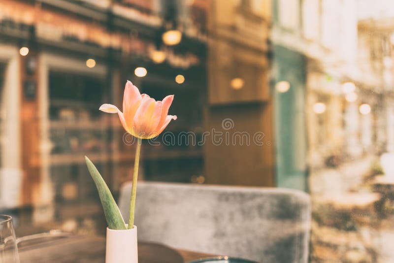 Tulipe dans un vase sur la table de café photographie stock libre de droits Tulipe dans un vase sur la table de café photographie stock libre de droits