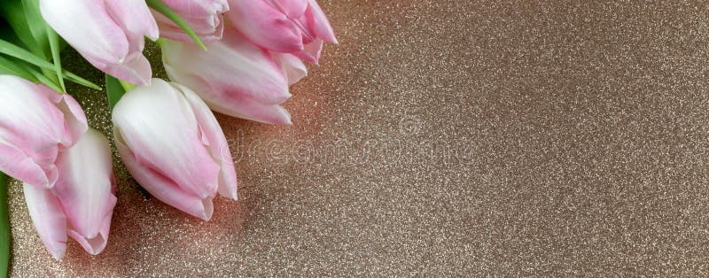 Tulipes blanches tendres sur miroiter le fond photos libres de droits Tulipes blanches tendres sur miroiter le fond photos libres de droits