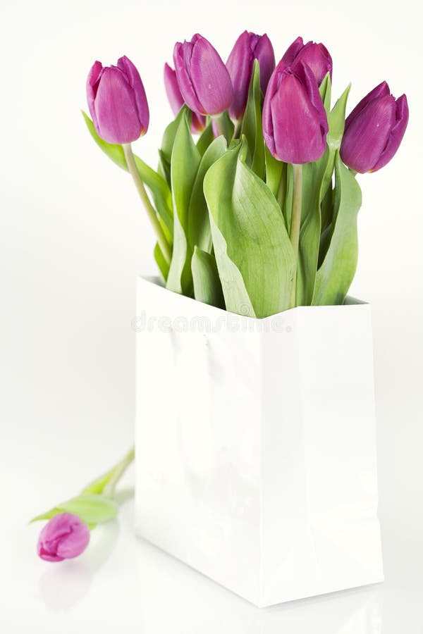 Tulipes fraîches images libres de droits