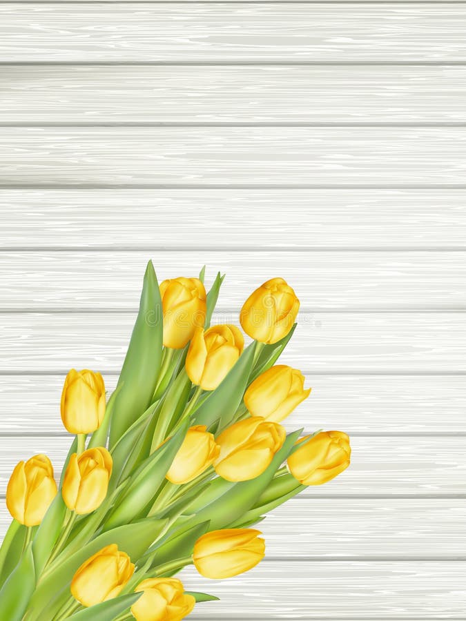 Tulipes jaunes ENV 10 illustration stock Tulipes jaunes ENV 10 illustration stock
