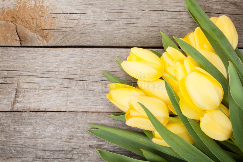 Tulipes jaunes fraîches au-dessus de table en bois photos libres de droits Tulipes jaunes fraîches au-dessus de table en bois photos libres de droits