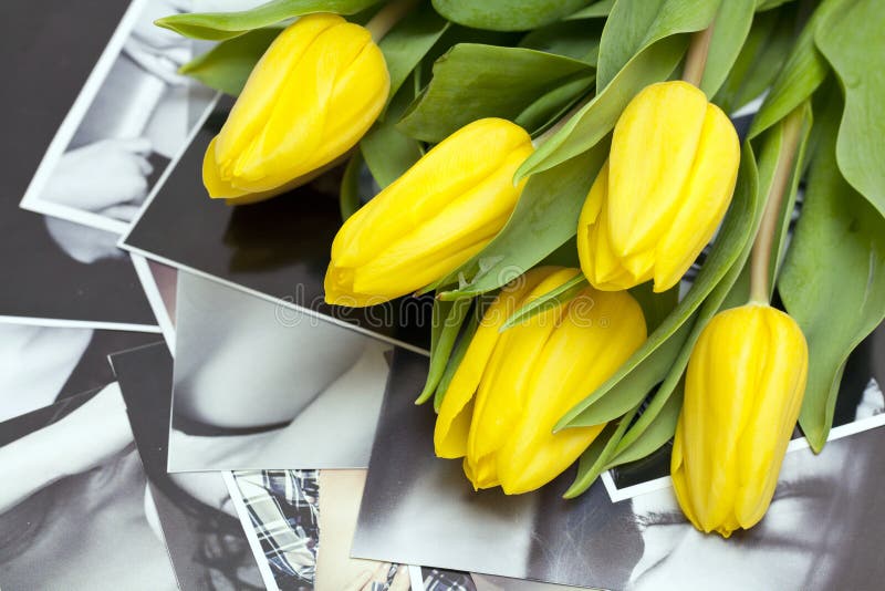 Tulipes jaunes sur les photographies noires et blanches photos stock Tulipes jaunes sur les photographies noires et blanches photos stock