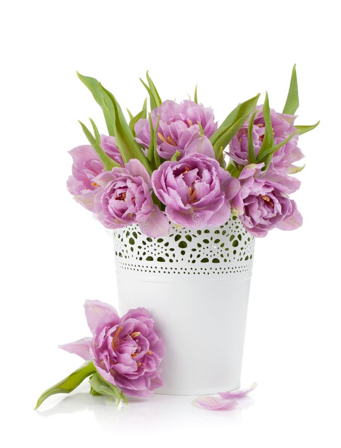 Tulipes roses dans le flowerpot en métal image stock Tulipes roses dans le flowerpot en métal image stock