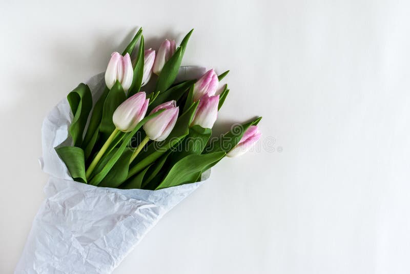 Tulipes roses enveloppées en livre blanc photo stock Tulipes roses enveloppées en livre blanc photo stock