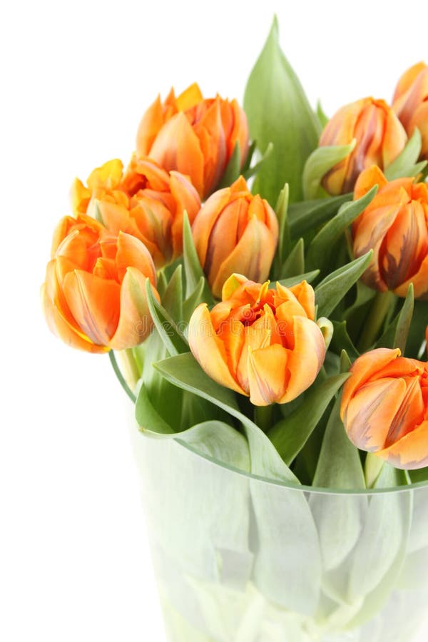 Tulips Bouquet