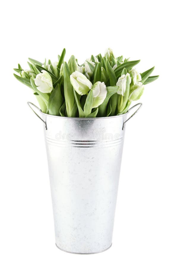 Tulips Bouquet