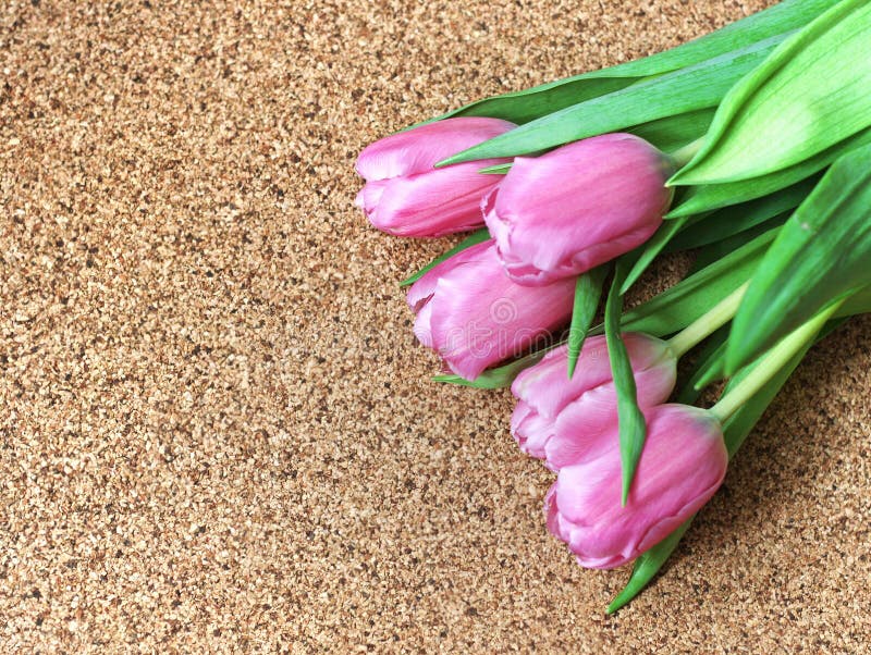 Tulips on Dark Brown Surface Stock Image Image of grow, nature 135216341