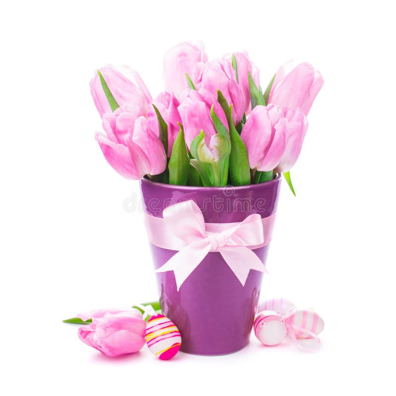 Tulips and eggs isolated stock images