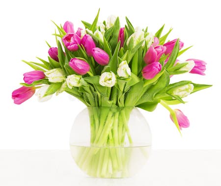 5,280 White Tulips Vase Arrangement Stock Photos - Free & Royalty-Free ...