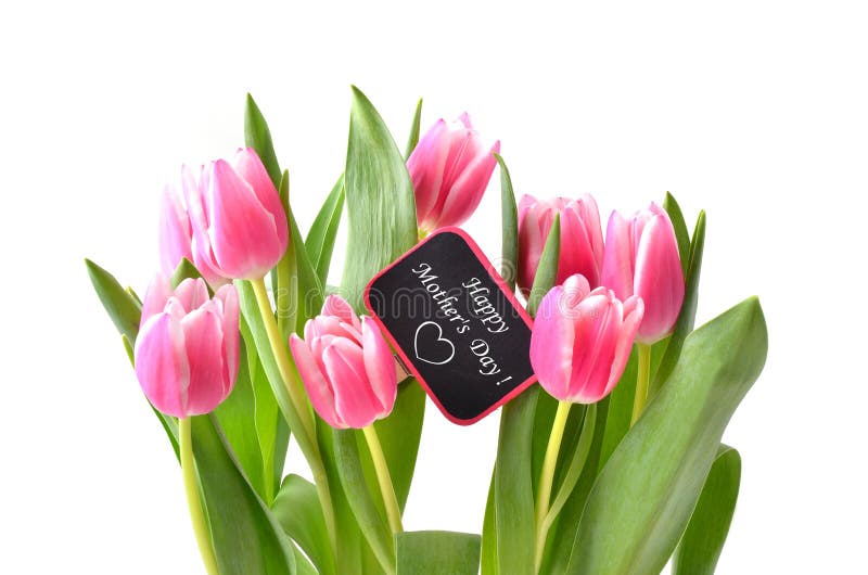 Tulips Flowers for Mother S Day Stock Photo Image of celebration
