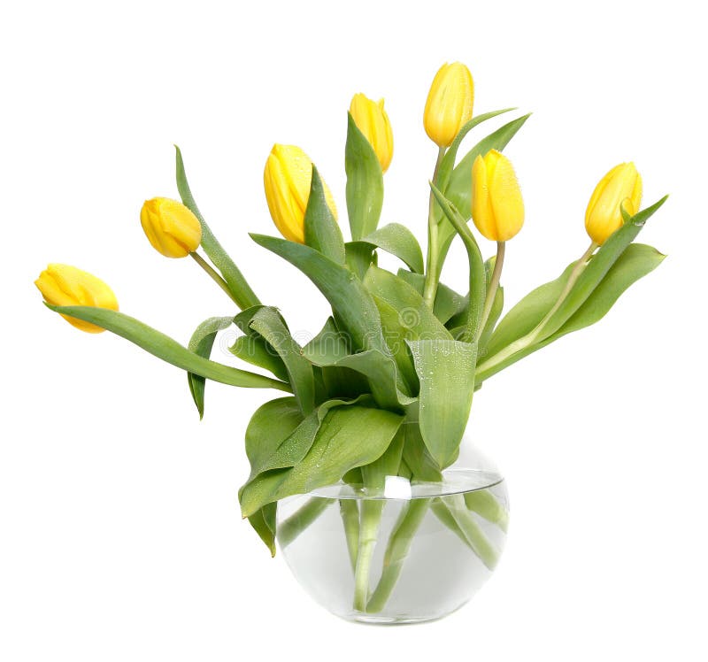Tulips in a glass vase stock photo. Image of light, flower 9025206