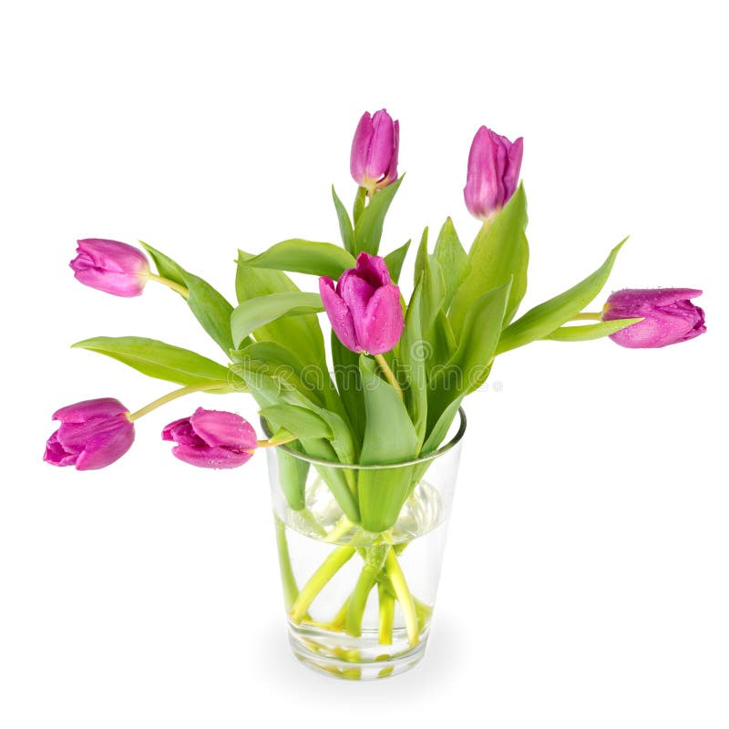5,280 White Tulips Vase Arrangement Stock Photos Free & RoyaltyFree