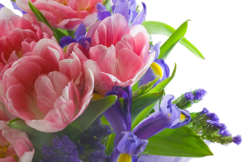 Tulips and iris stock photo. Image of green, birthday 14175926
