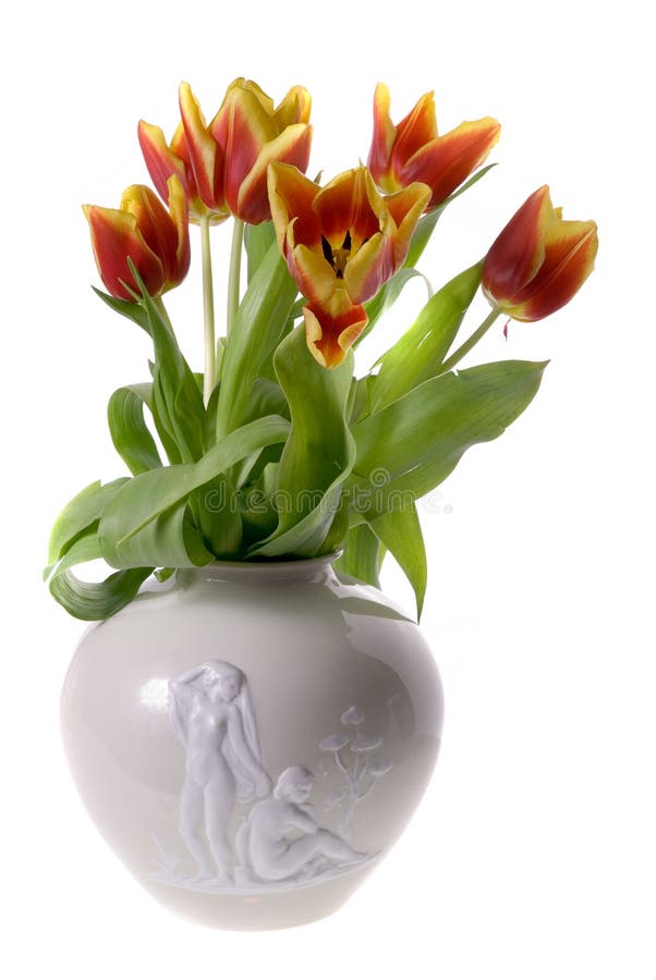 Tulips Isolated