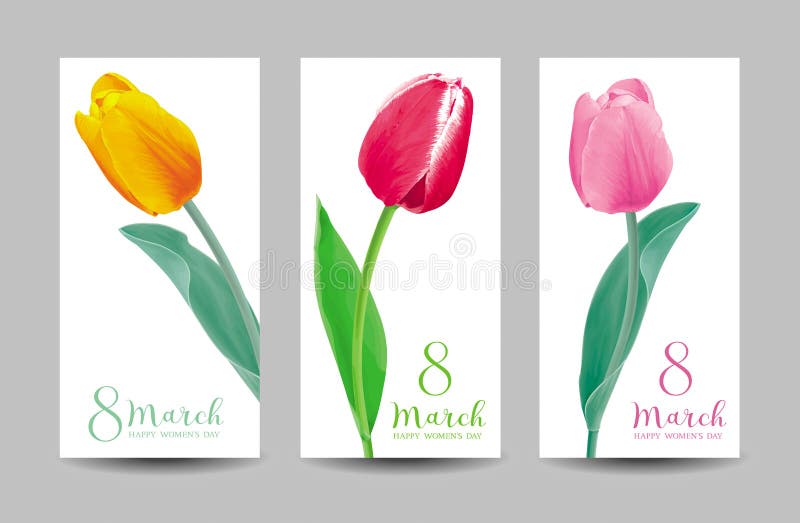 Tulips for 8 March vector greeting card set