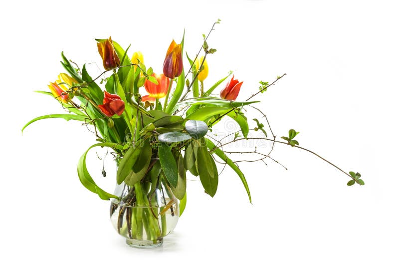 Tulips in red and yellow with spring branches as a bouquet in a glass vase isolated with small shadows on a white background