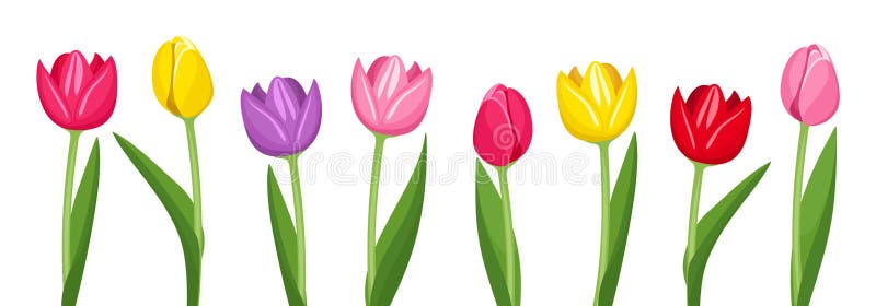 Tulips of various colors.