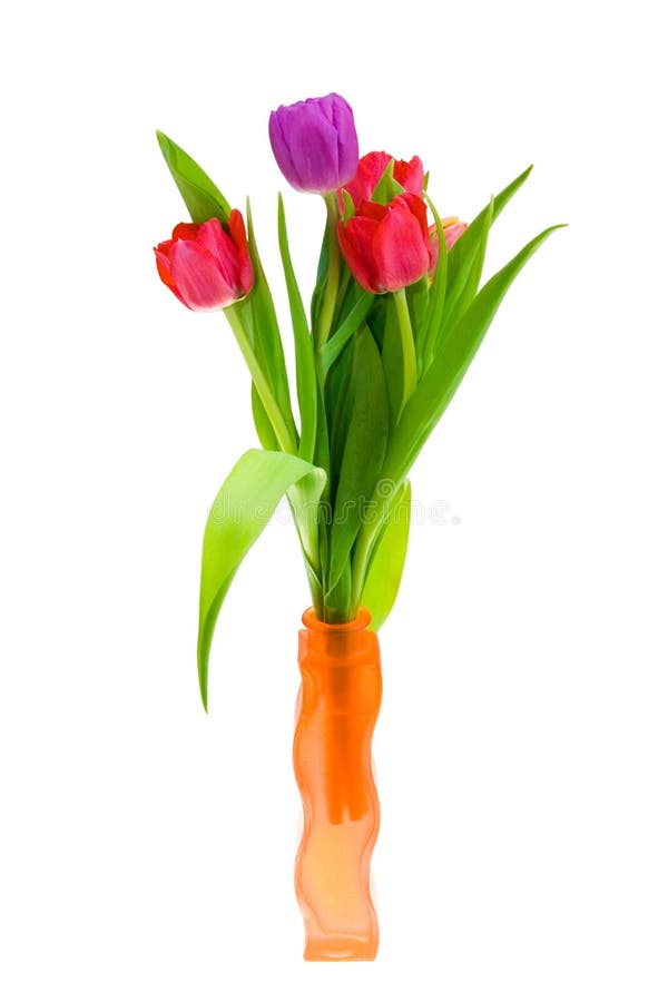 Tulips in a Vase