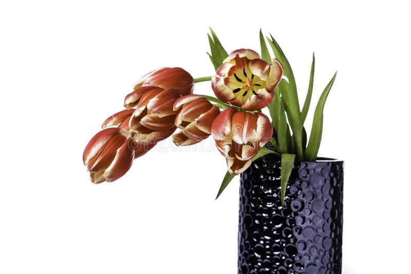 Tulips in a Vase stock photo. Image of happy, garden 87734260