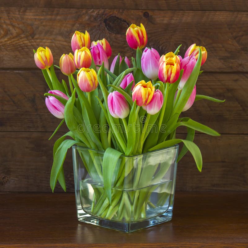 Red tulips in a vase stock image. Image of gift, colorful 107247627
