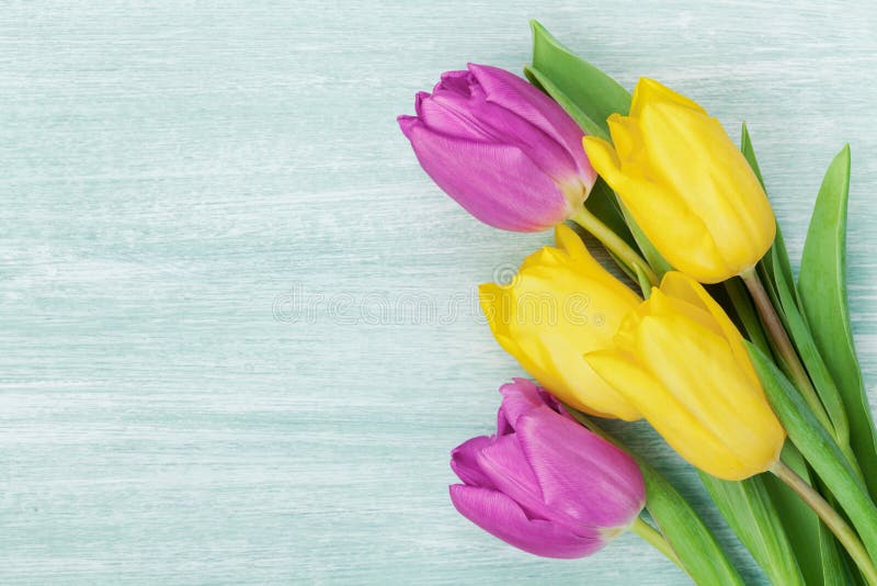 Tulpan blommar på den lantliga tabellen för dag för mars 8, internationella kvinnors, födelsedag- eller moderdagen, härligt vårko