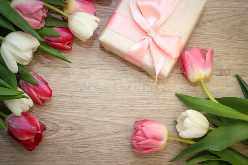 Tulpan och gåva arkivfoton