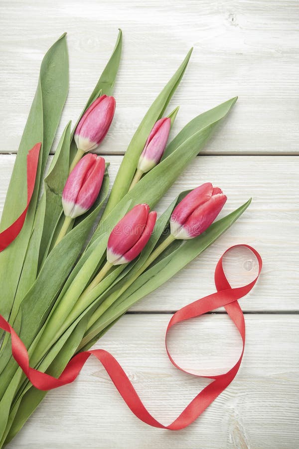 Tulpan på mars 8 arkivbild