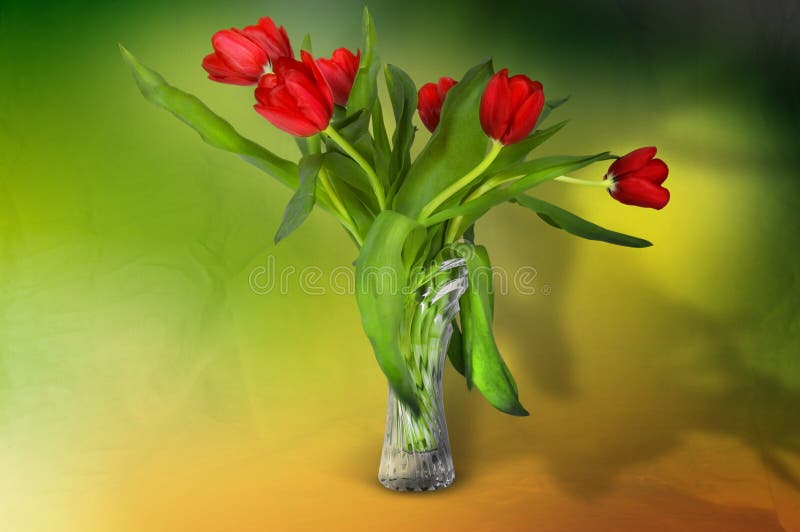 Red tulips in a glass vase with dramatic lighting. Side perspective. Red tulips in a glass vase with dramatic lighting. Side perspective.