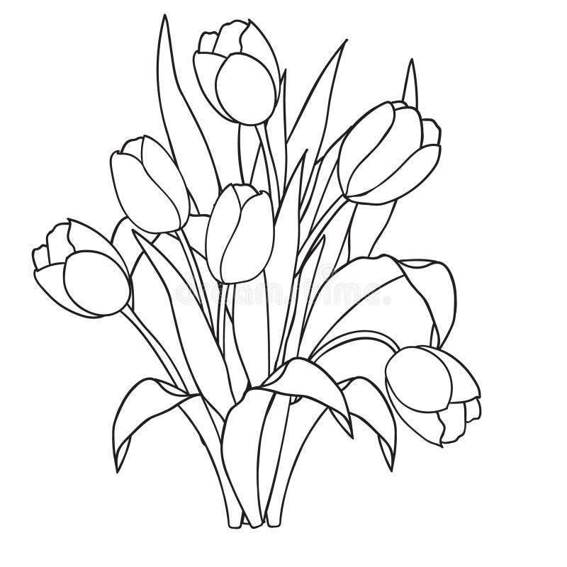 Tulpen, bloemen, sier zwart-witte kleurende pagina's stock illustratie Tulpen, bloemen, sier zwart-witte kleurende pagina's stock illustratie