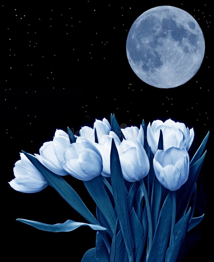 57,437 Illuminate Fotos - Kostenlose und Royalty-Free Stock-Fotos von