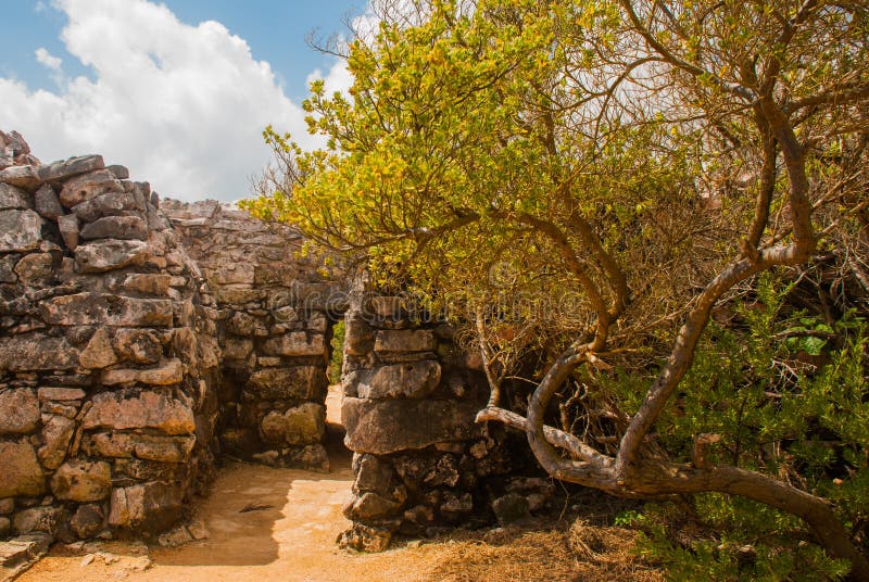 Tulum, Riviera majowie, Jukatan, Meksyk: Wejście świątynia Ruiny zniszczony antyczny Majski miasto obraz royalty free Tulum, Riviera majowie, Jukatan, Meksyk: Wejście świątynia Ruiny zniszczony antyczny Majski miasto obraz royalty free