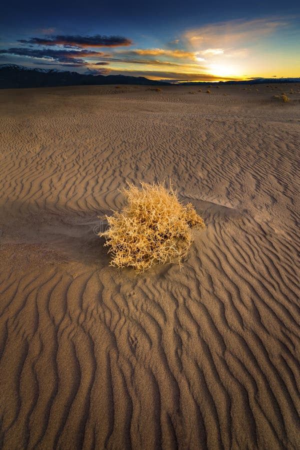 Las Vegas desert editorial image. Image of view, street - 183681440