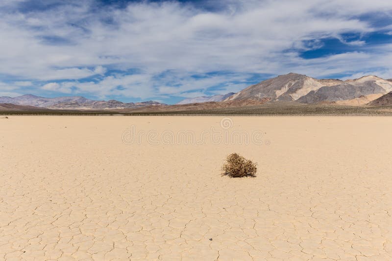 Tumbleweed on dry lake bed in Mojave desert with cracked mud on a lake floor, blue sky, clouds and mountains. Racetrack Playa. Death Valley national park. California. USA. Tumbleweed on dry lake bed in Mojave desert with cracked mud on a lake floor, blue sky, clouds and mountains. Racetrack Playa. Death Valley national park. California. USA.