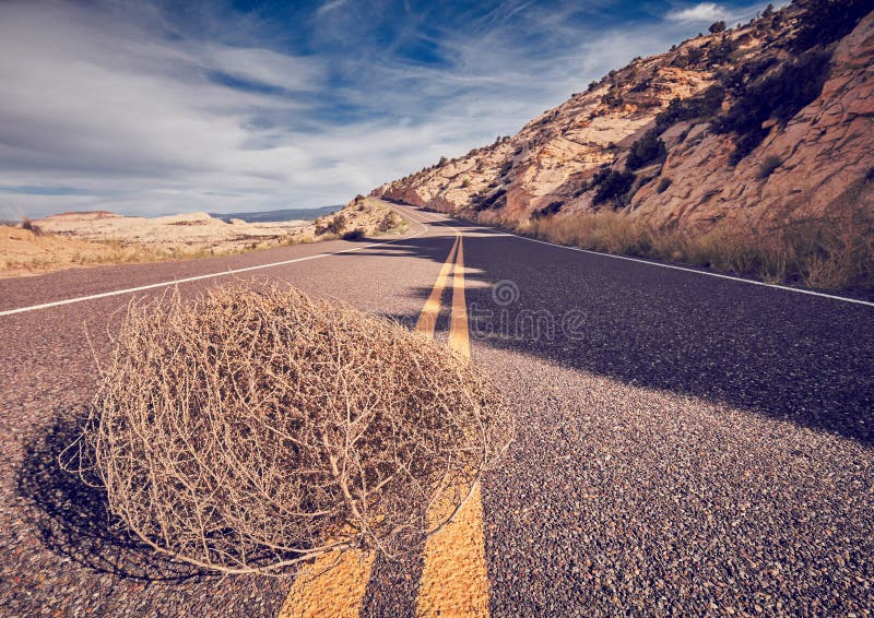 19,500+ Tumbleweed Stock Photos, Pictures & Royalty-Free Images - iStock