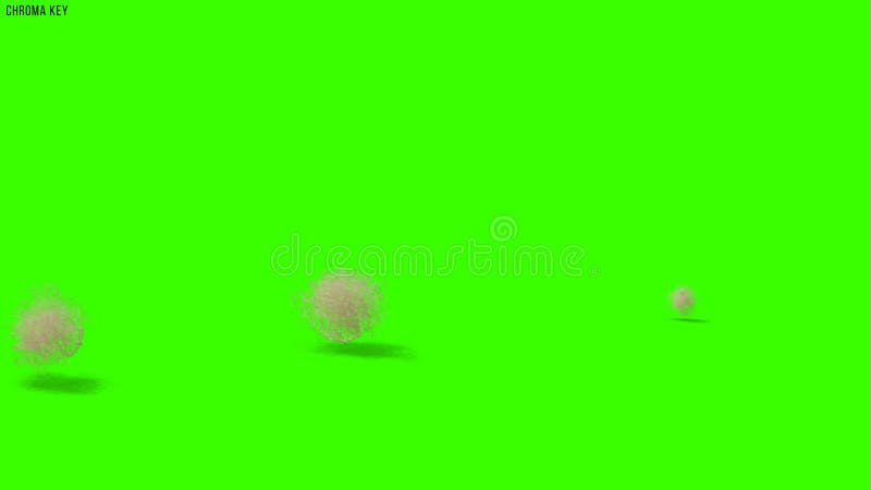 Animated Book Opening Green Screen Effects 4K UHD 