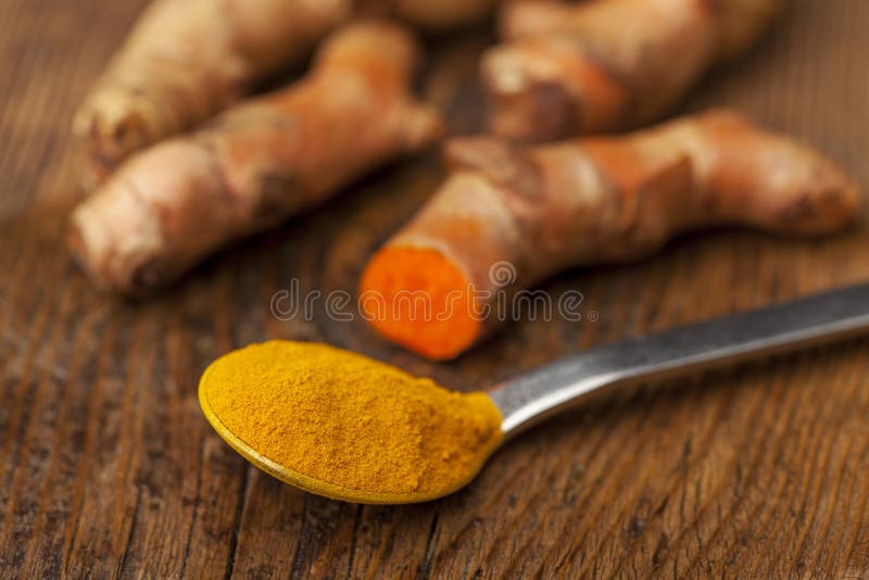 Fresh Whole Tumeric Roots, or Rhizomes Stock Photo Image of food