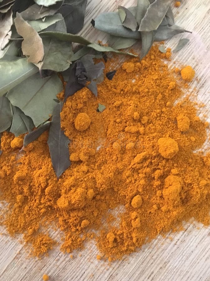 Fresh Whole Tumeric Roots, or Rhizomes Stock Photo Image of food