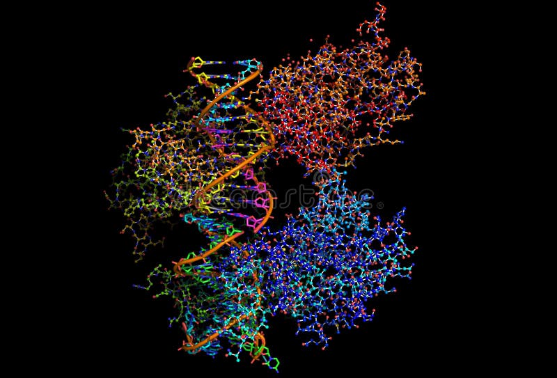 Tumor-Aufhebung des Proteins, das an DNA bindet lizenzfreie abbildung Tumor-Aufhebung des Proteins, das an DNA bindet lizenzfreie abbildung