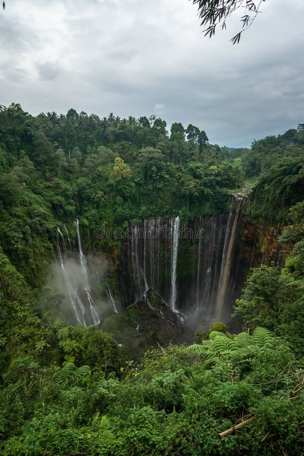 travel malang lumajang azzam