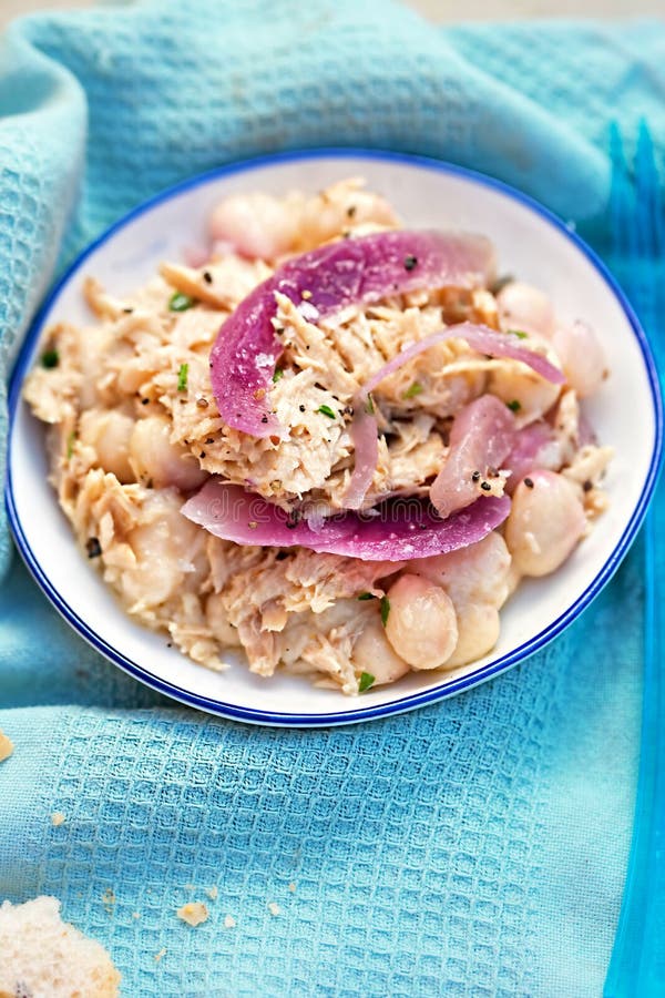 Tuna with Beans & Red Onion Spanish Style Salad Stock Image Image