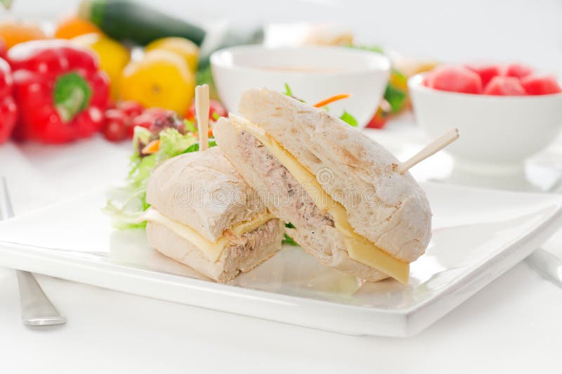 Tuna and cheese sandwich with salad