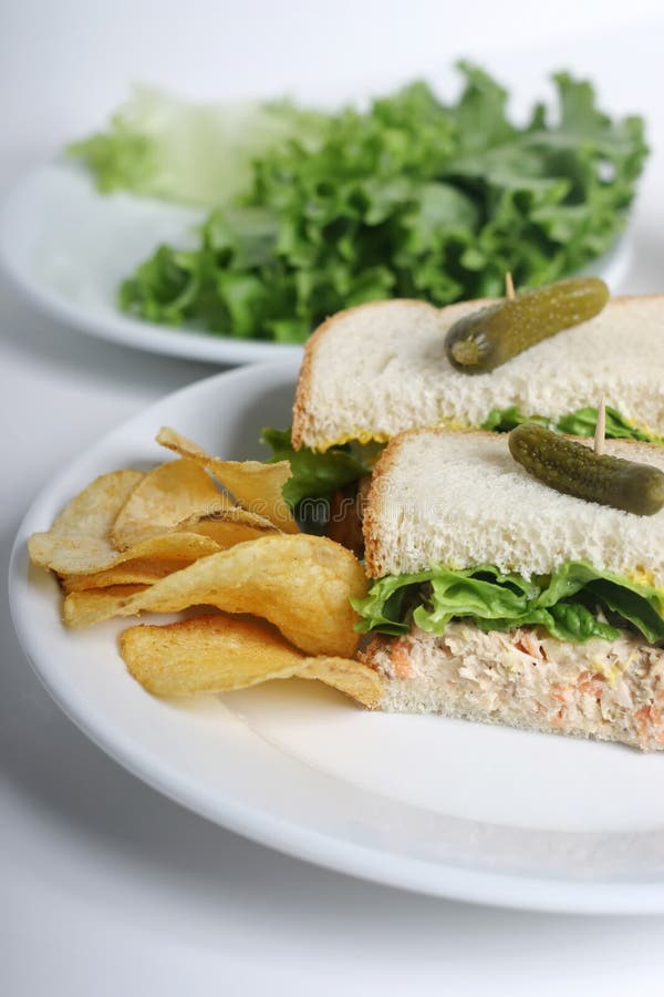 Tuna and Chips stock image. Image of catering, snack, sandwich 495895