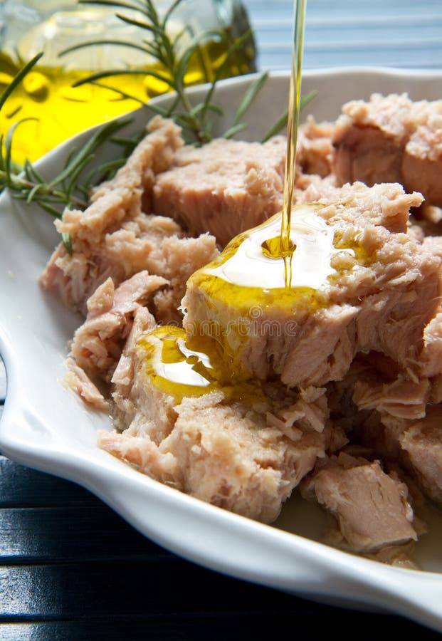 Tuna Fish in Oil, Canned Food Stock Image Image of lunch, seafood
